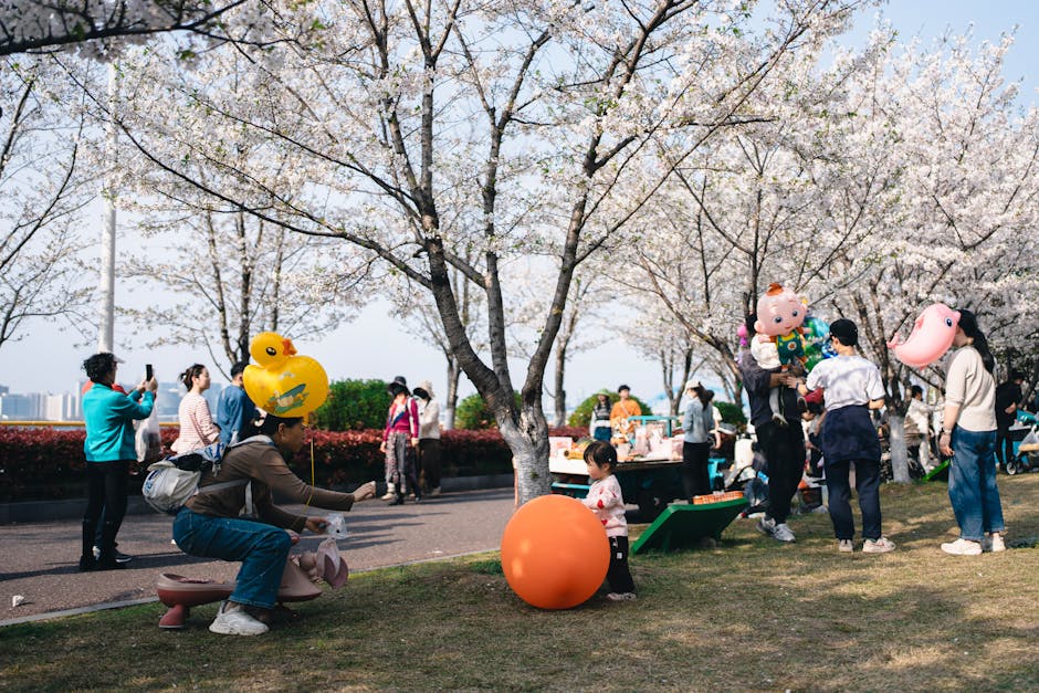 여의도 벚꽃축제