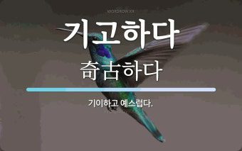 기고