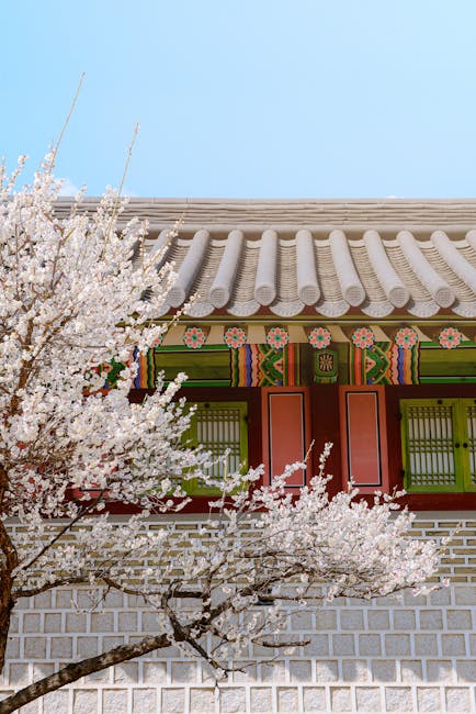 음주 사망 사고, 관대한 처벌에 국제적 공분