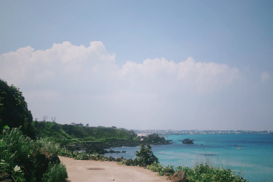 제주 4.3, 76년의 아픔을 넘어 진실 규명과 화해의 길로